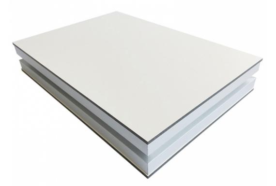 ساندوتش بانل